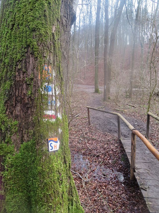 Bemooste Symbole an der Brücke nahe Fürstenbrunnen.